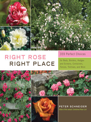 Right Rose, Right Place - ebook